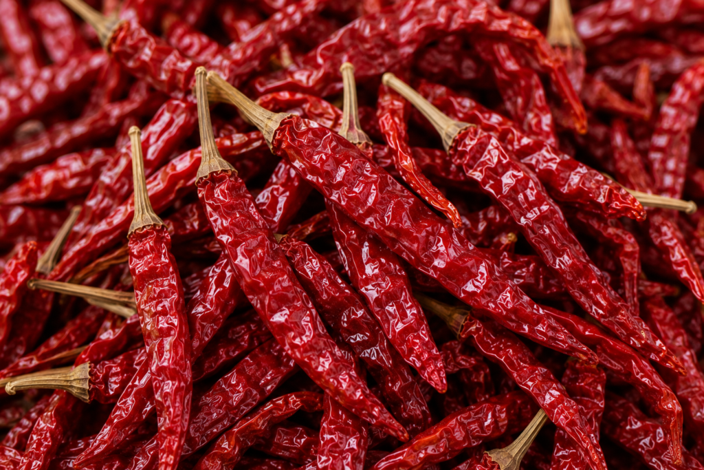 Close-up of Sannam Chilli.