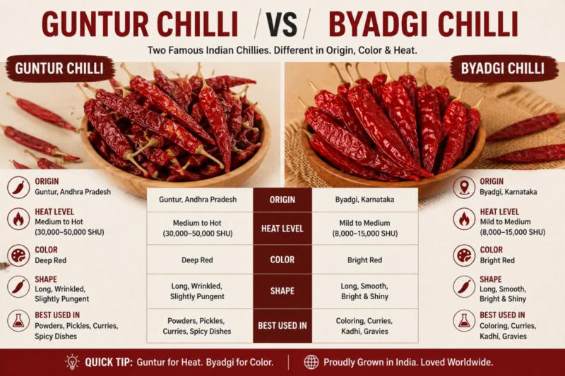 Guntur Chilli vs Byadgi Chilli comparison for export buyers