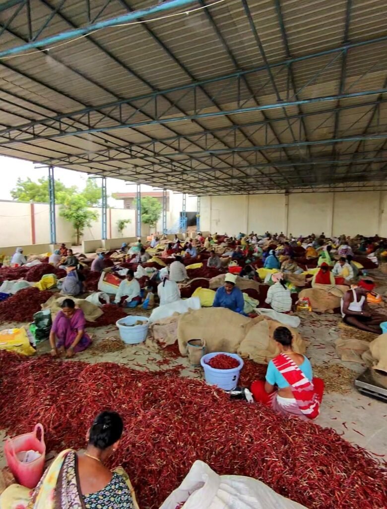 The Good Dried Indian spice supplier export facility